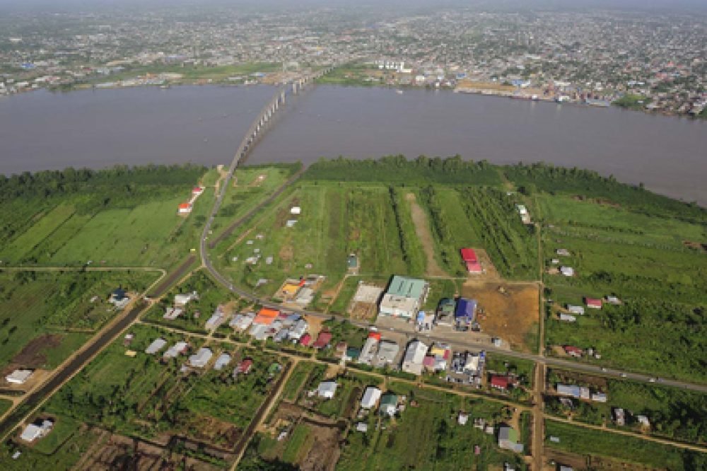 Bosjebrug-1505818244