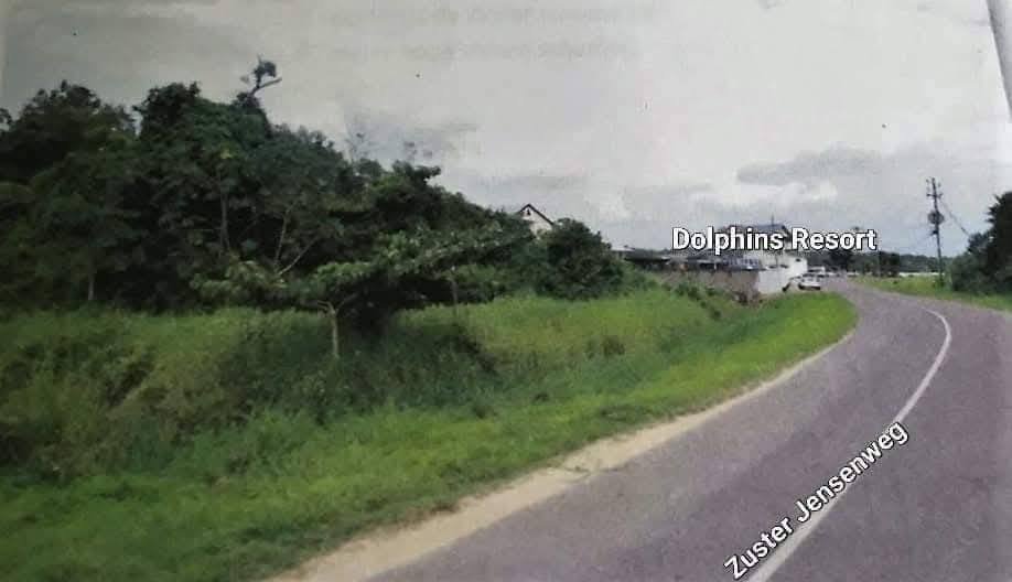 494560089_1251819446950147_6530450985429326128_n