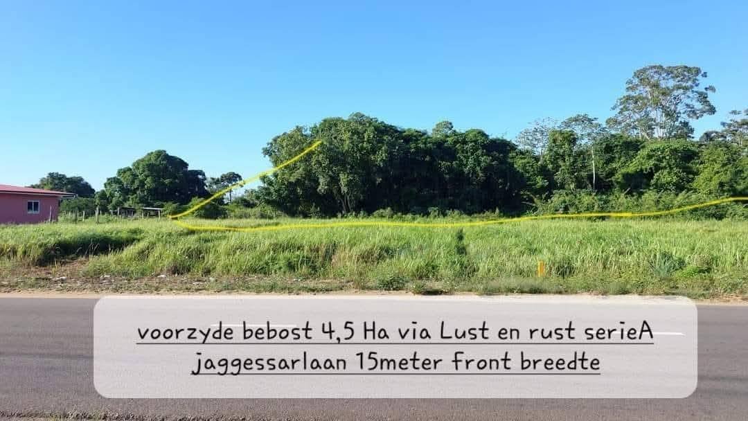 494680297_1251670140298411_488130342938760487_n