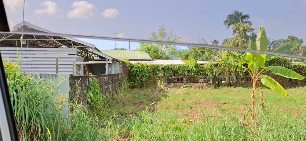 500633054_1273819231416835_7029833736559685972_n