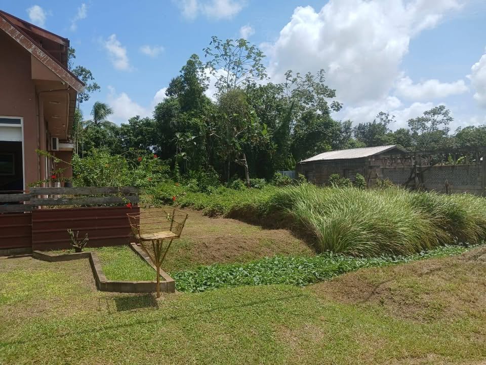 515495796_24374301398860780_2634901232091427307_n