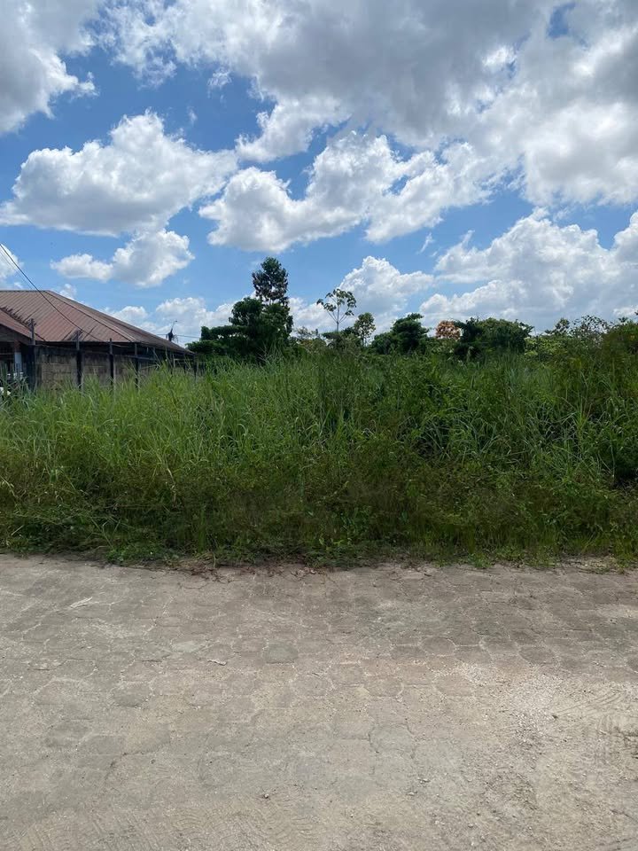 559012603_25161190730171839_7225321617605839102_n