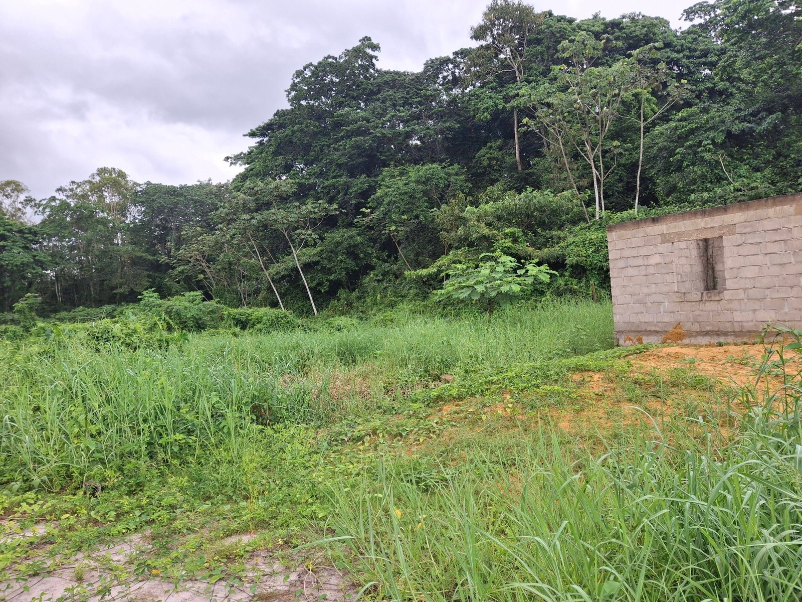 618732984_1496535755811847_29908737652941444_n